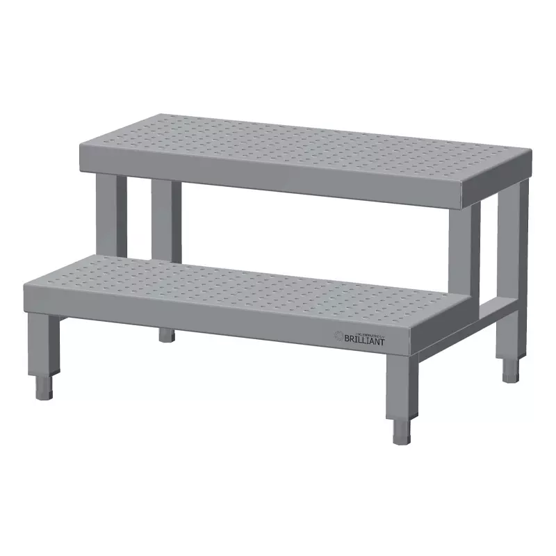 Opstap 2 treden RVS 700x500x200/400 mm